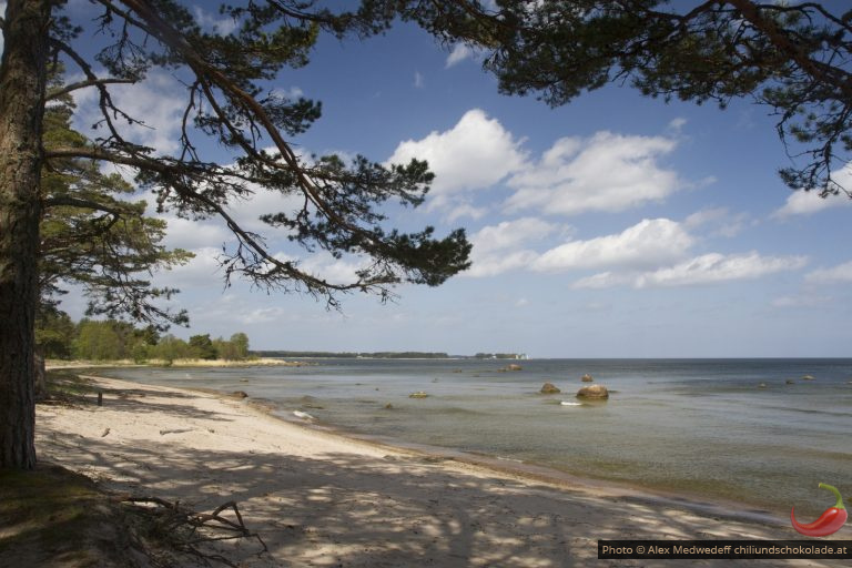 Im Lahemaa Nationalpark