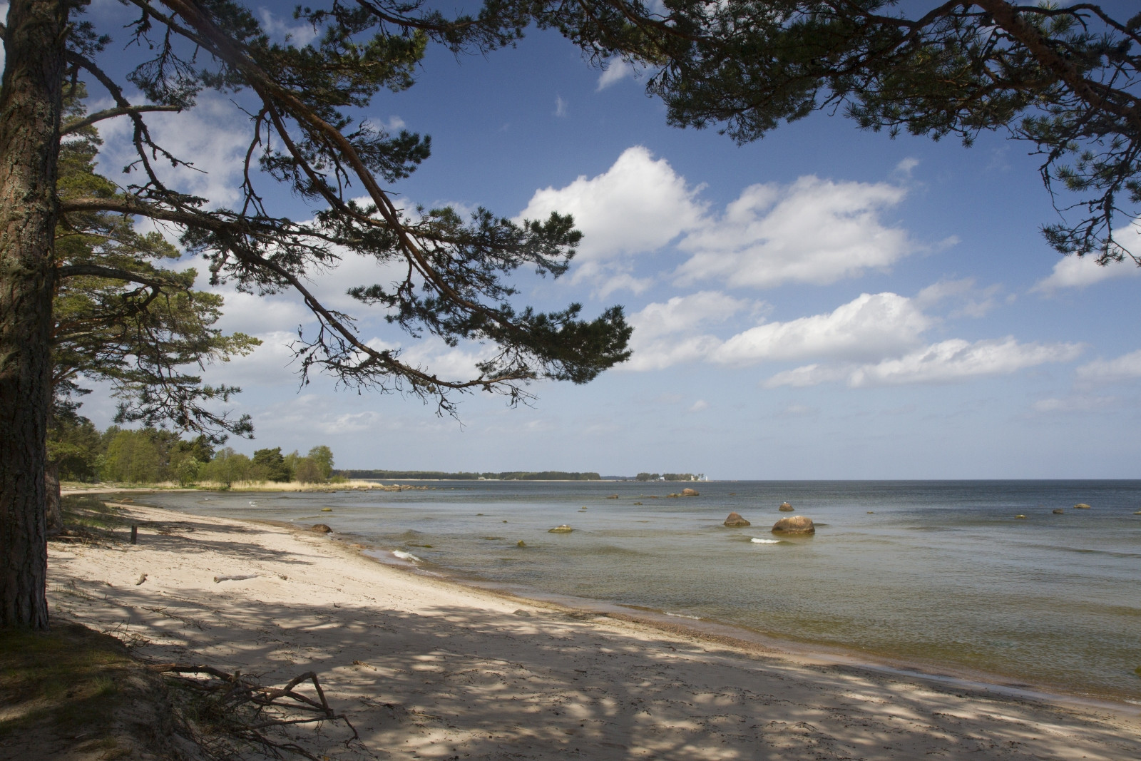 Im Lahemaa Nationalpark