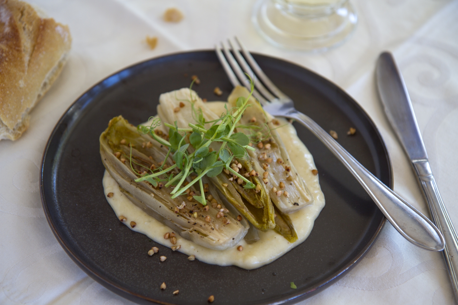 Chicorée mit Taleggiosauce