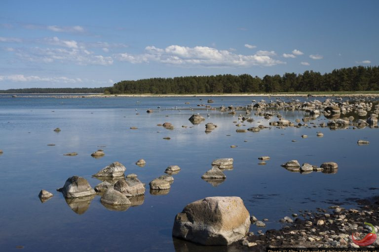 Totale Entspannung auf Hiiumaa