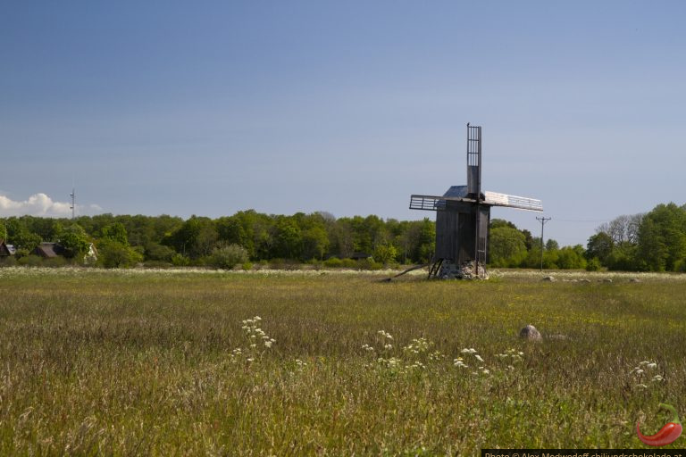 Ausflug zur Insel Abruka