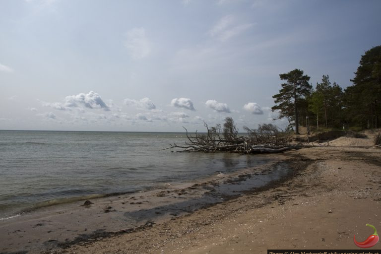 Rund ums Kap Kolka
