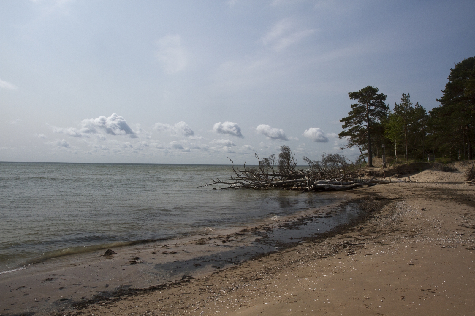 Rund ums Kap Kolka