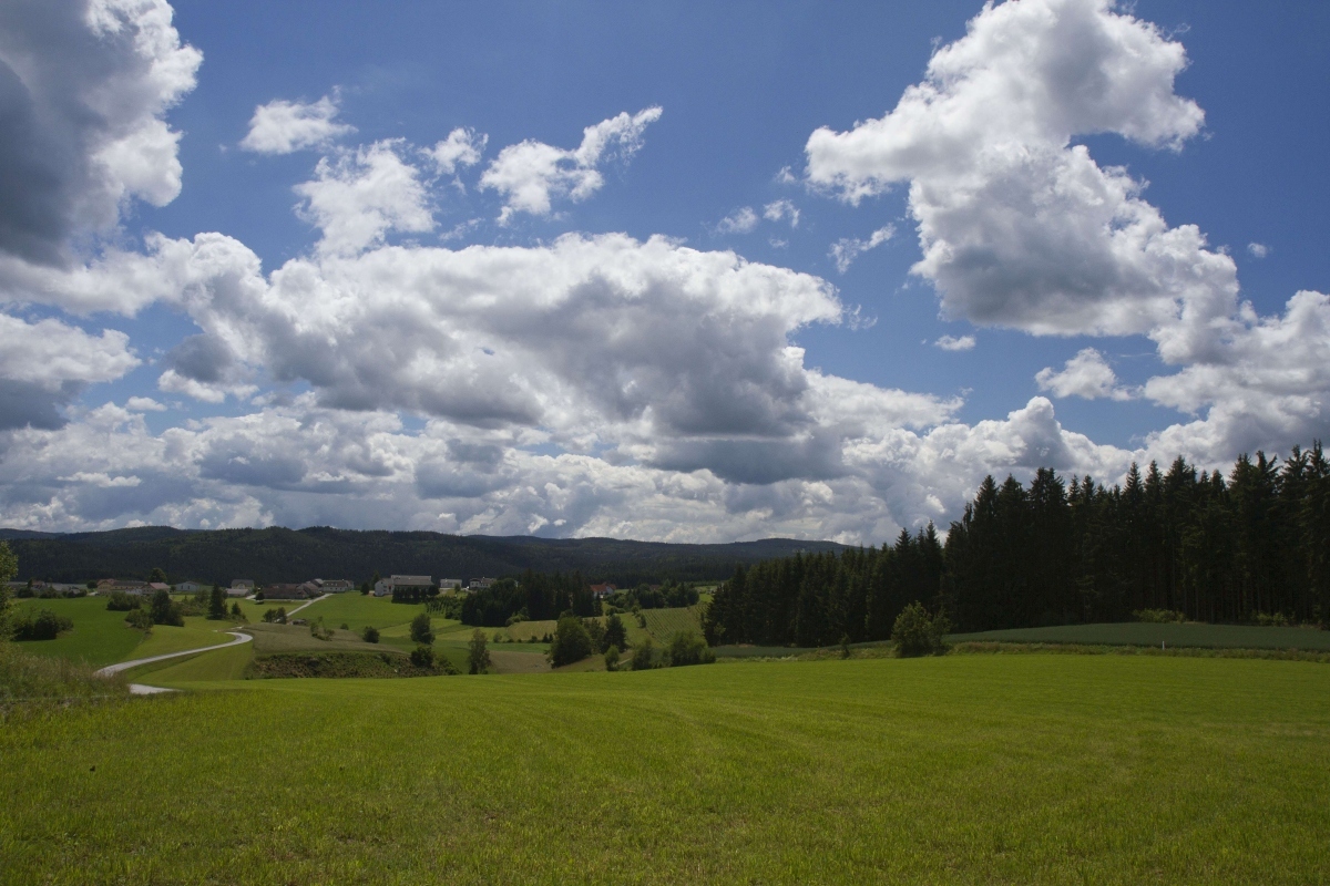 Auszeit im Waldviertel
