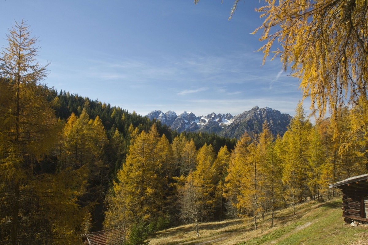 Wanderung zu den Eulenwiesen